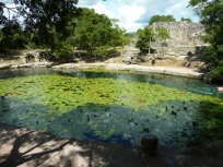 Dzibilchaltn - Cenote Xlacah